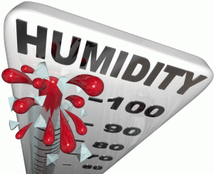 Does Your Home Have a Humidity Problem?