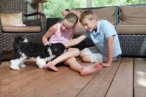 kids-with-dog