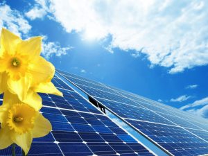 solar-panels-with-flowers