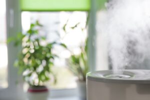 humidifier-in-a-room-with-plants